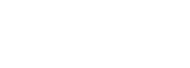 light logo